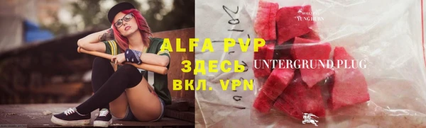 крисы Аркадак