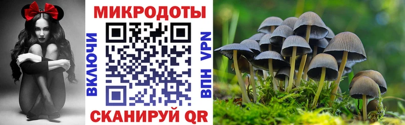 как найти   Богородицк  Псилоцибиновые грибы Psilocybe 