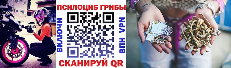 Галлюциногенные грибы GOLDEN TEACHER Богородицк