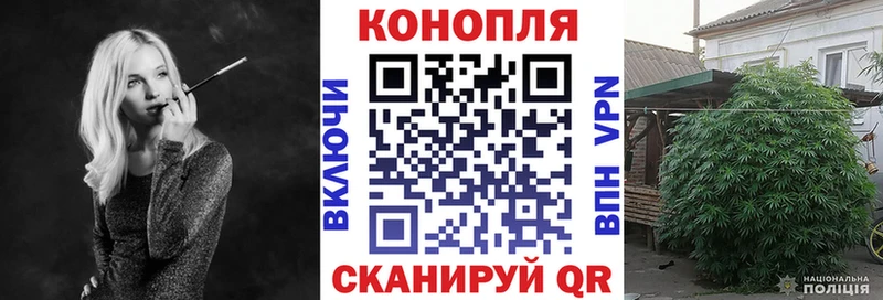 Конопля White Widow наркошоп Богородицк